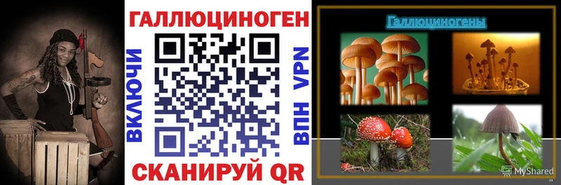 цены наркотик  Краснознаменск  Галлюциногенные грибы Cubensis 
