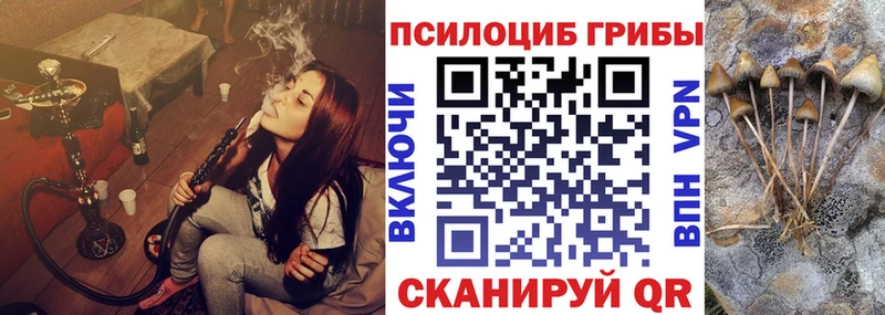 Псилоцибиновые грибы мицелий Краснознаменск